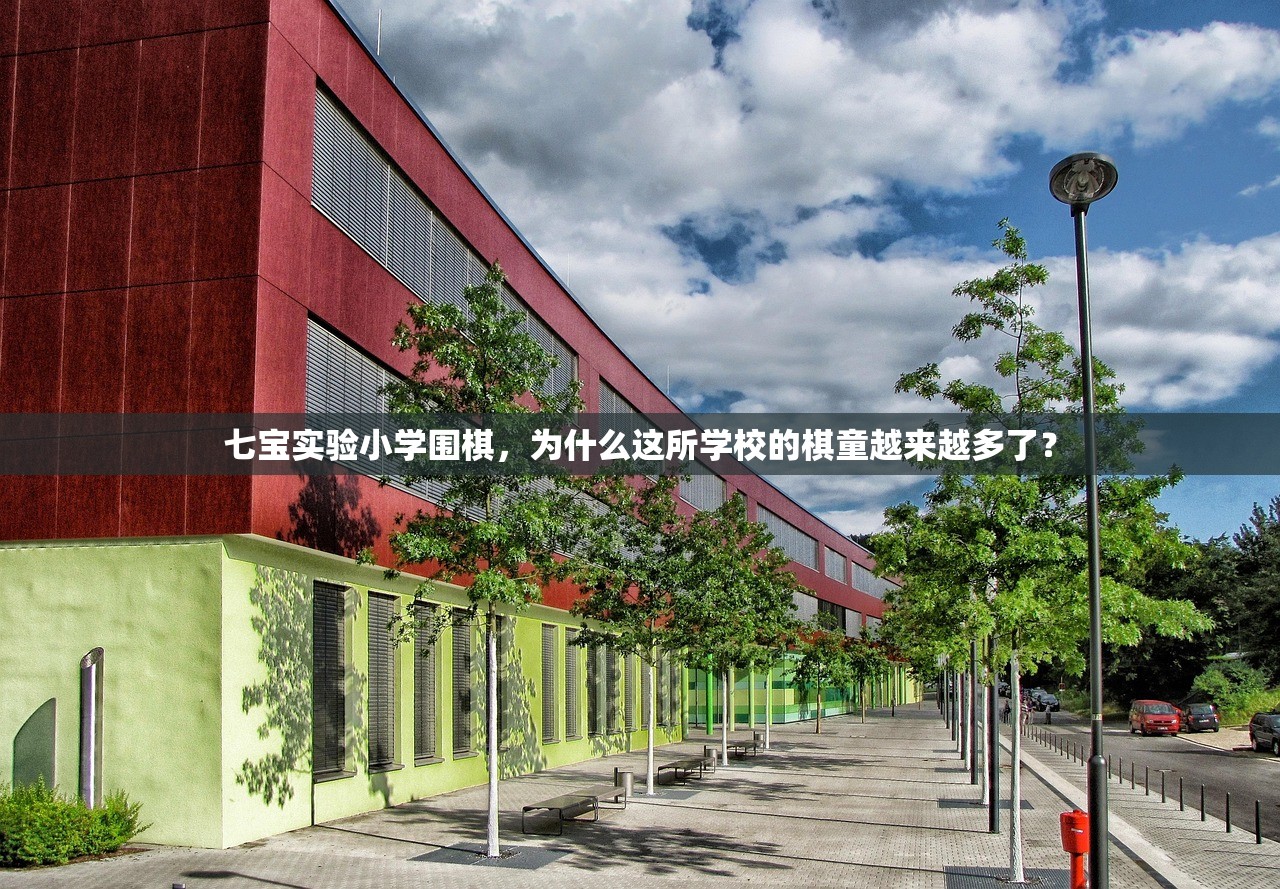 七宝实验小学围棋,为什么这所学校的棋童越来越多了? 七宝实验小学围棋,为什么这所学校的棋童越来越多了?