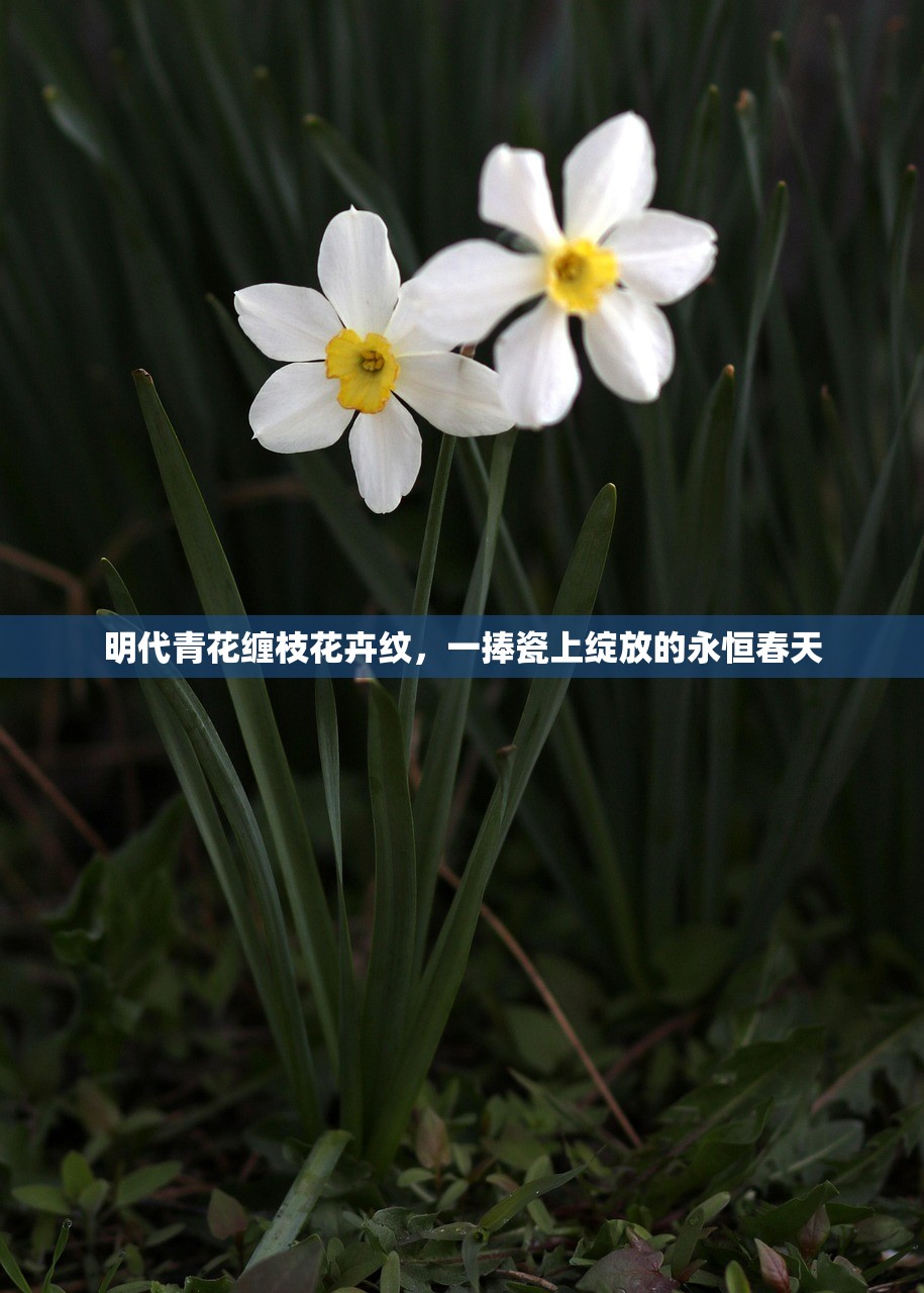 明代青花缠枝花卉纹，一捧瓷上绽放的永恒春天