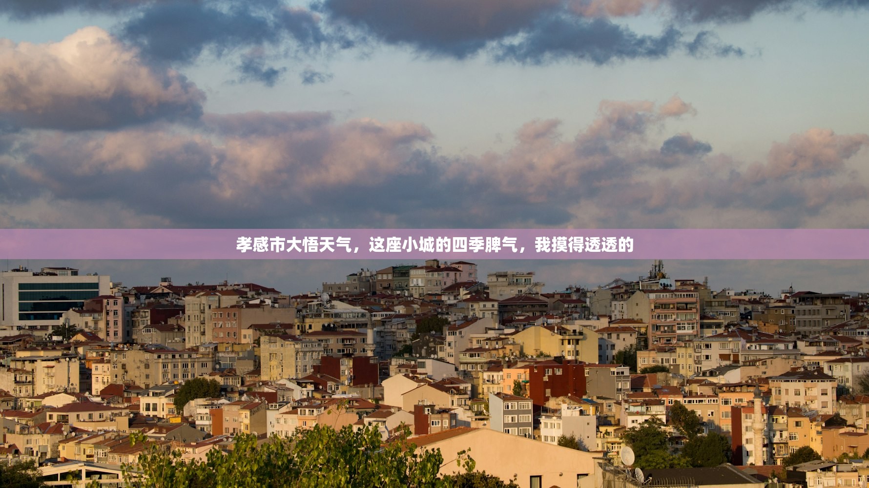 孝感市大悟天气，这座小城的四季脾气，我摸得透透的