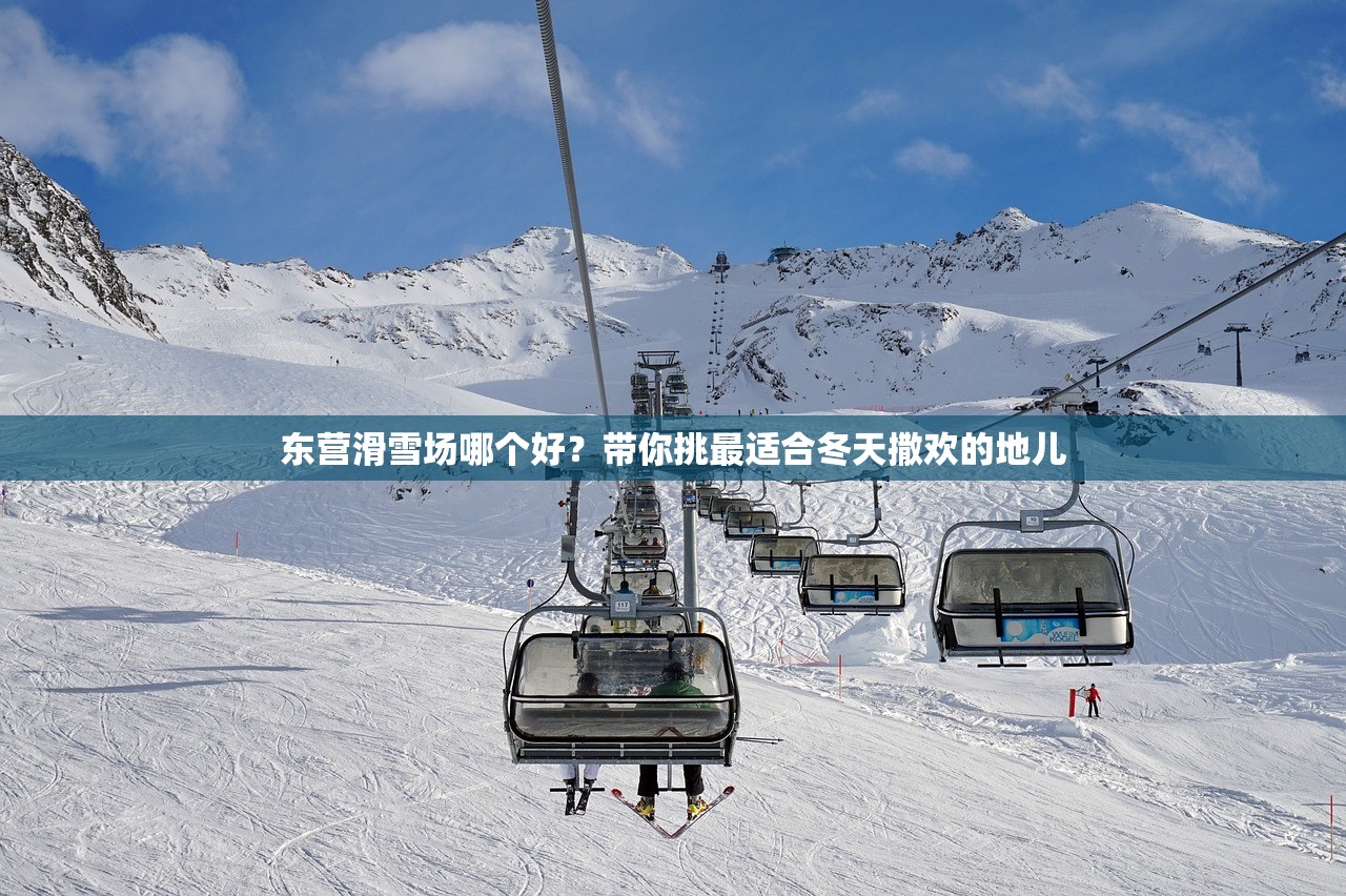 东营滑雪场哪个好？带你挑最适合冬天撒欢的地儿