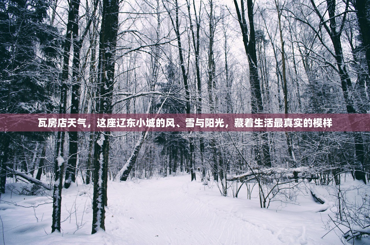 瓦房店天气,这座辽东小城的风、雪与阳光,藏着生活最真实的模样 瓦房店天气,这座辽东小城的风、雪与阳光,藏着生活最真实的模样