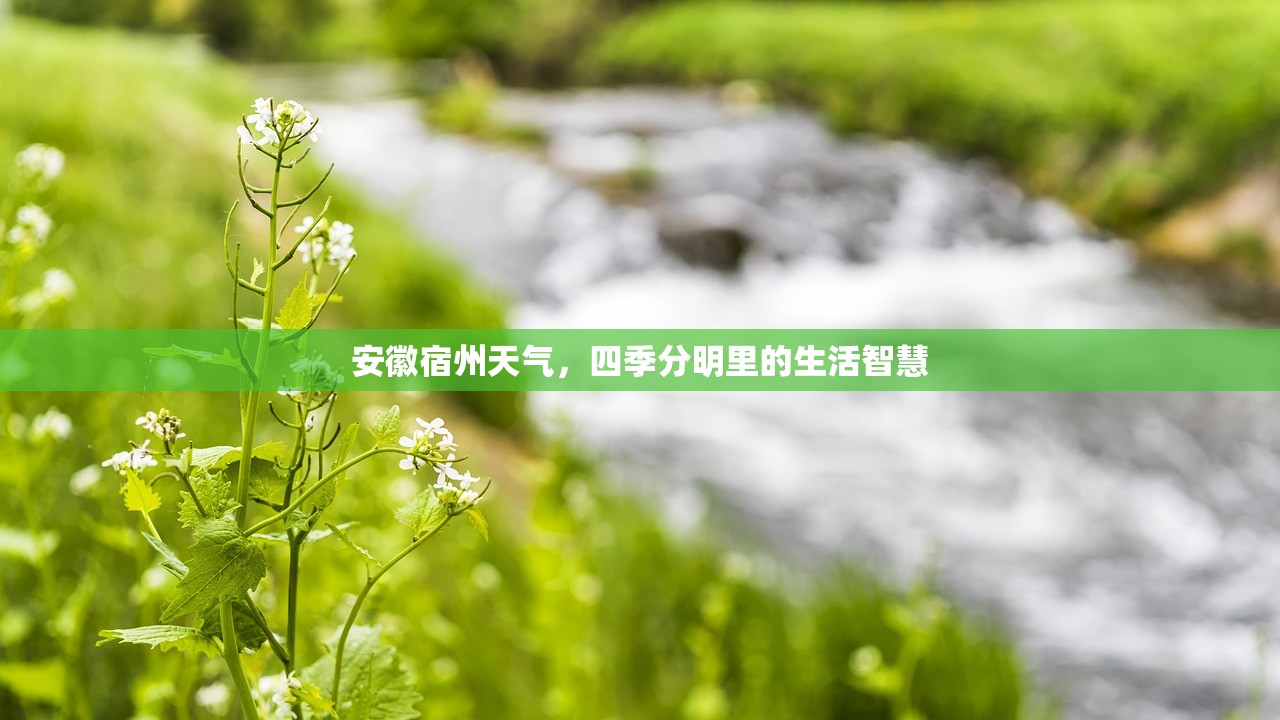 安徽宿州天气,四季分明里的生活智慧 安徽宿州天气,四季分明里的生活智慧