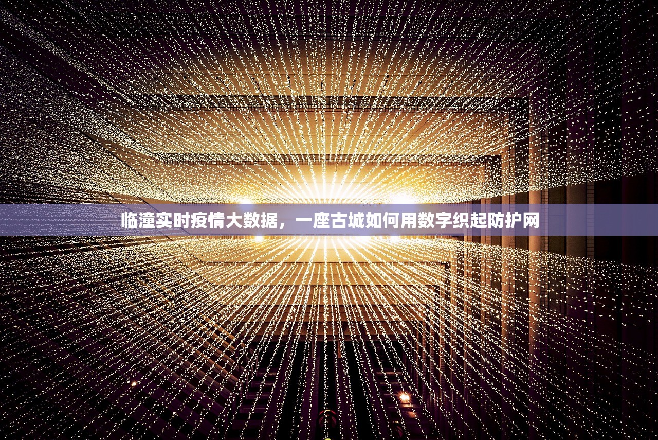 临潼实时疫情大数据，一座古城如何用数字织起防护网