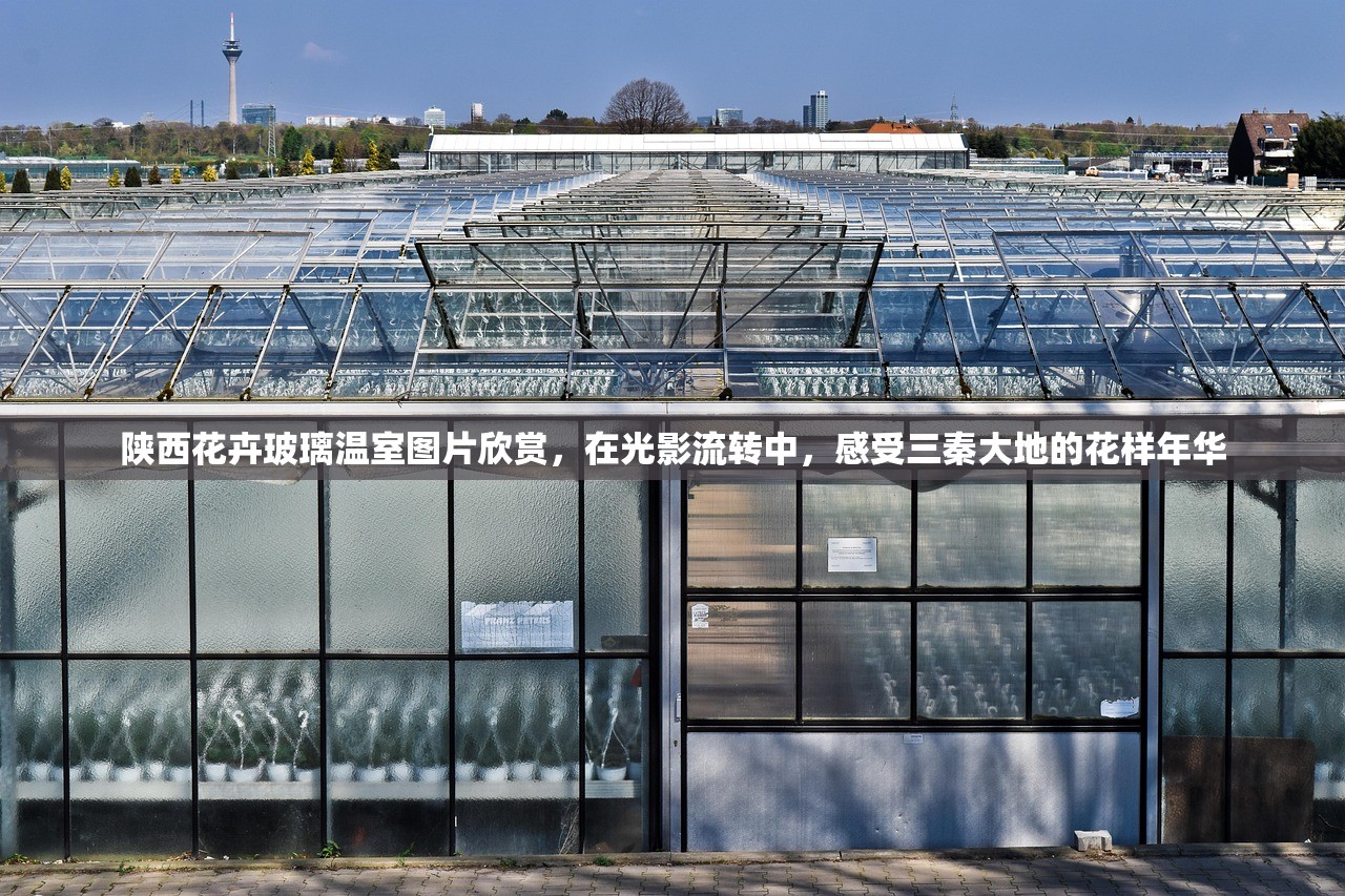陕西花卉玻璃温室图片欣赏，在光影流转中，感受三秦大地的花样年华