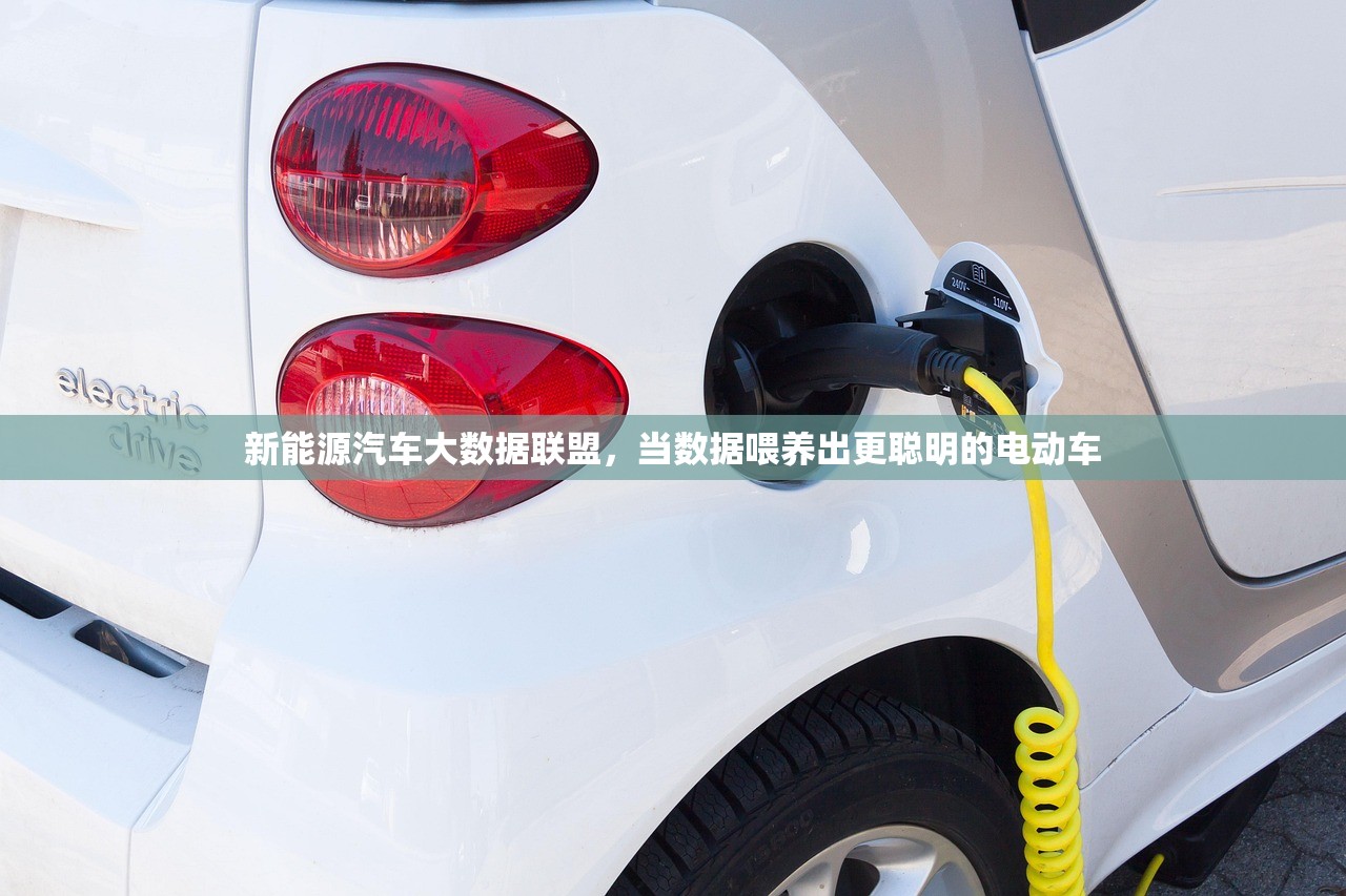 新能源汽车大数据联盟，当数据喂养出更聪明的电动车