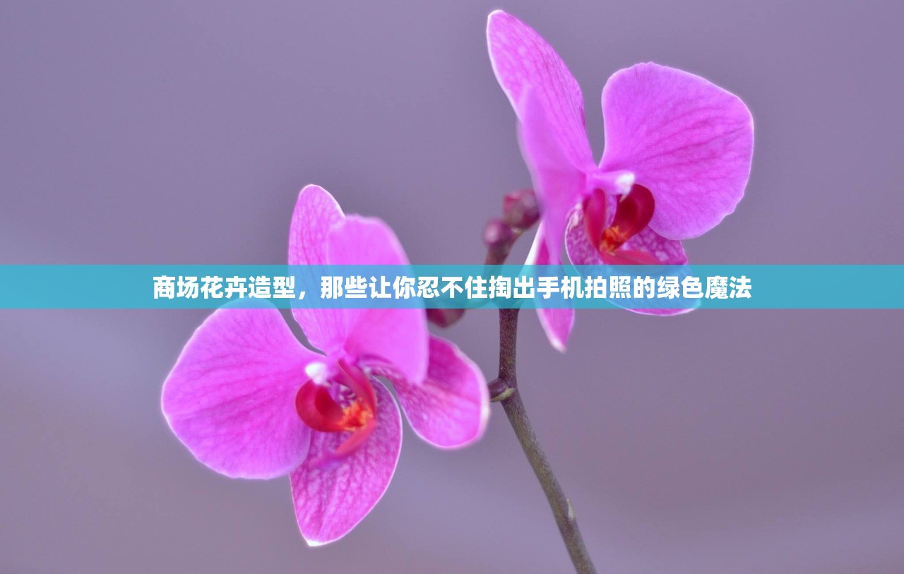 商场花卉造型，那些让你忍不住掏出手机拍照的绿色魔法