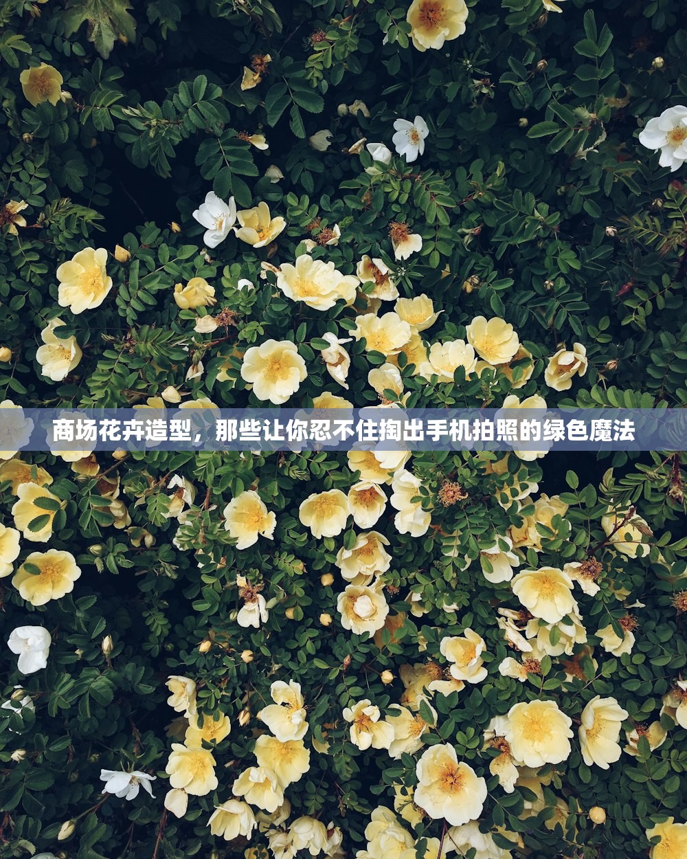 商场花卉造型,那些让你忍不住掏出手机拍照的绿色魔法 商场花卉造型,那些让你忍不住掏出手机拍照的绿色魔法