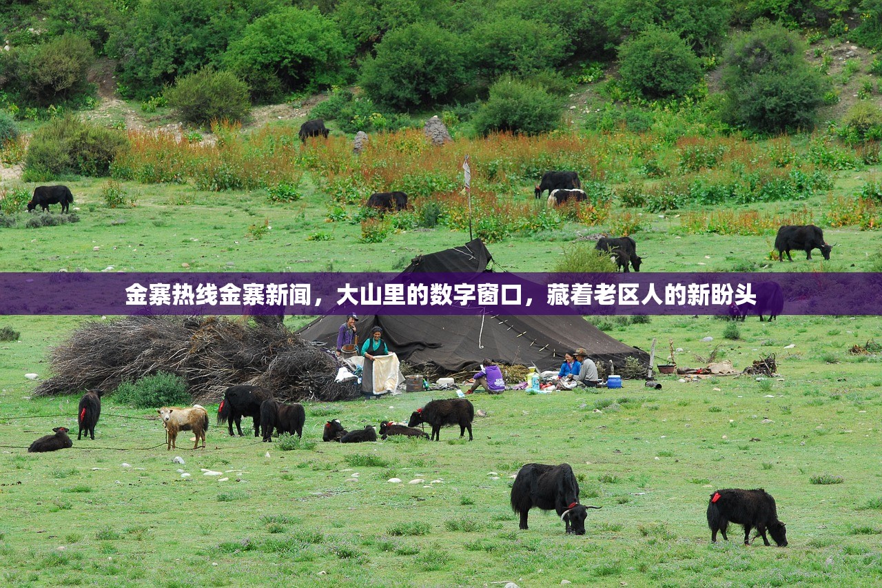 金寨热线金寨新闻，大山里的数字窗口，藏着老区人的新盼头