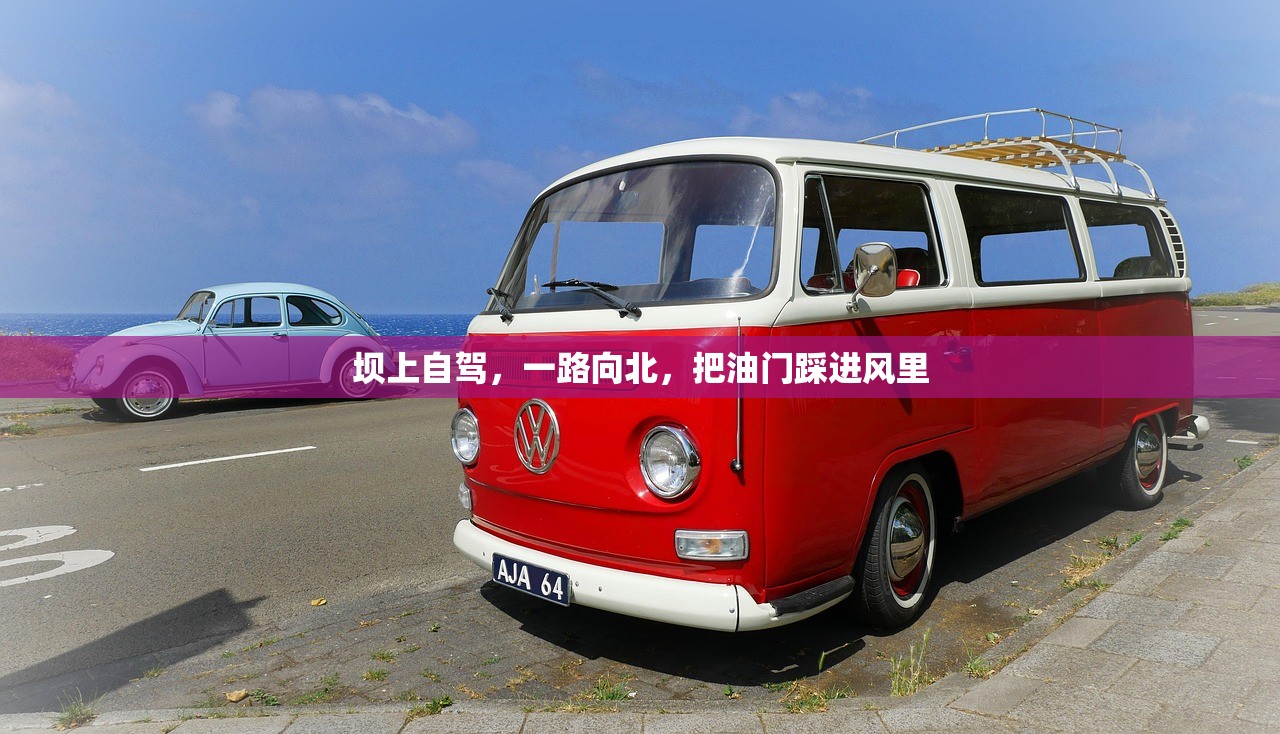 坝上自驾，一路向北，把油门踩进风里