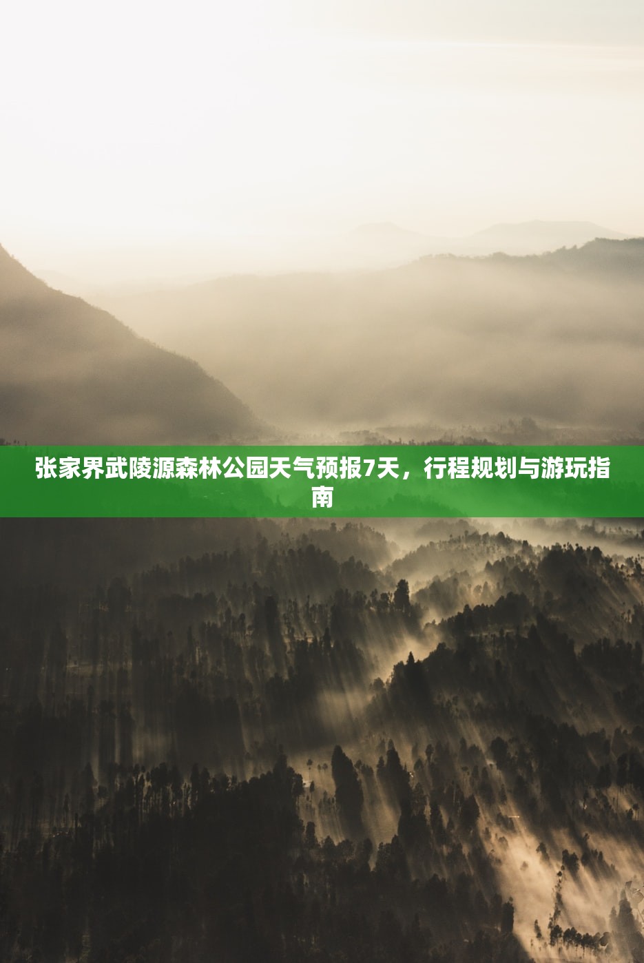 张家界武陵源森林公园天气预报7天,行程规划与游玩指南 张家界武陵源森林公园天气预报7天,行程规划与游玩指南