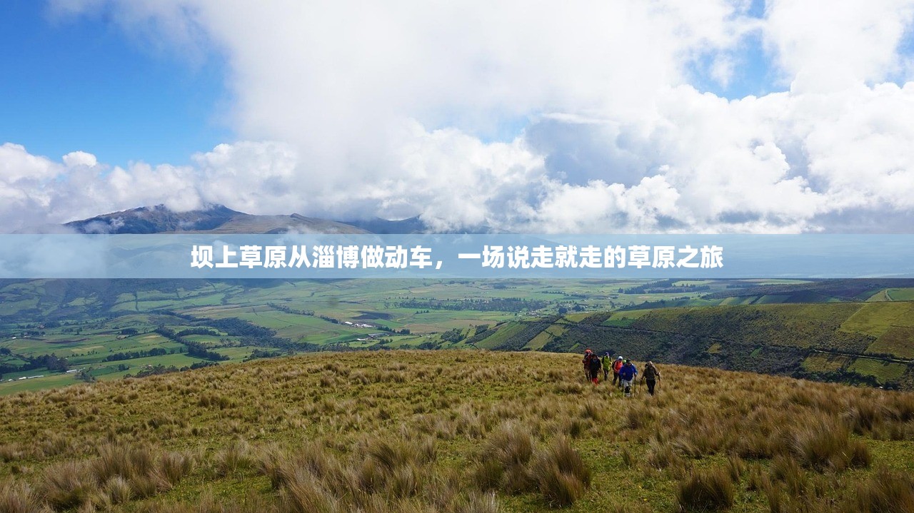 坝上草原从淄博做动车,一场说走就走的草原之旅 坝上草原从淄博做动车,一场说走就走的草原之旅