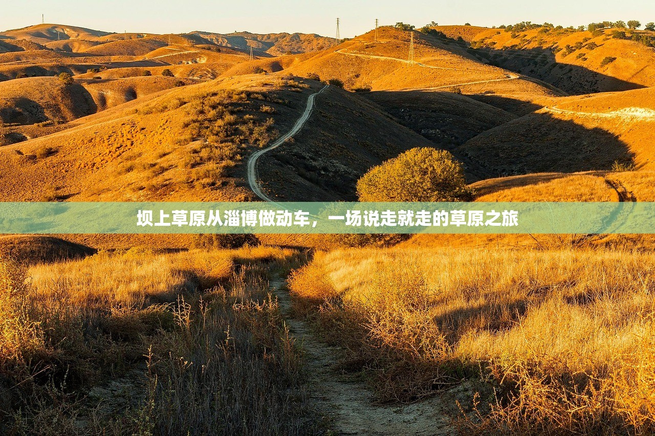 坝上草原从淄博做动车,一场说走就走的草原之旅 坝上草原从淄博做动车,一场说走就走的草原之旅