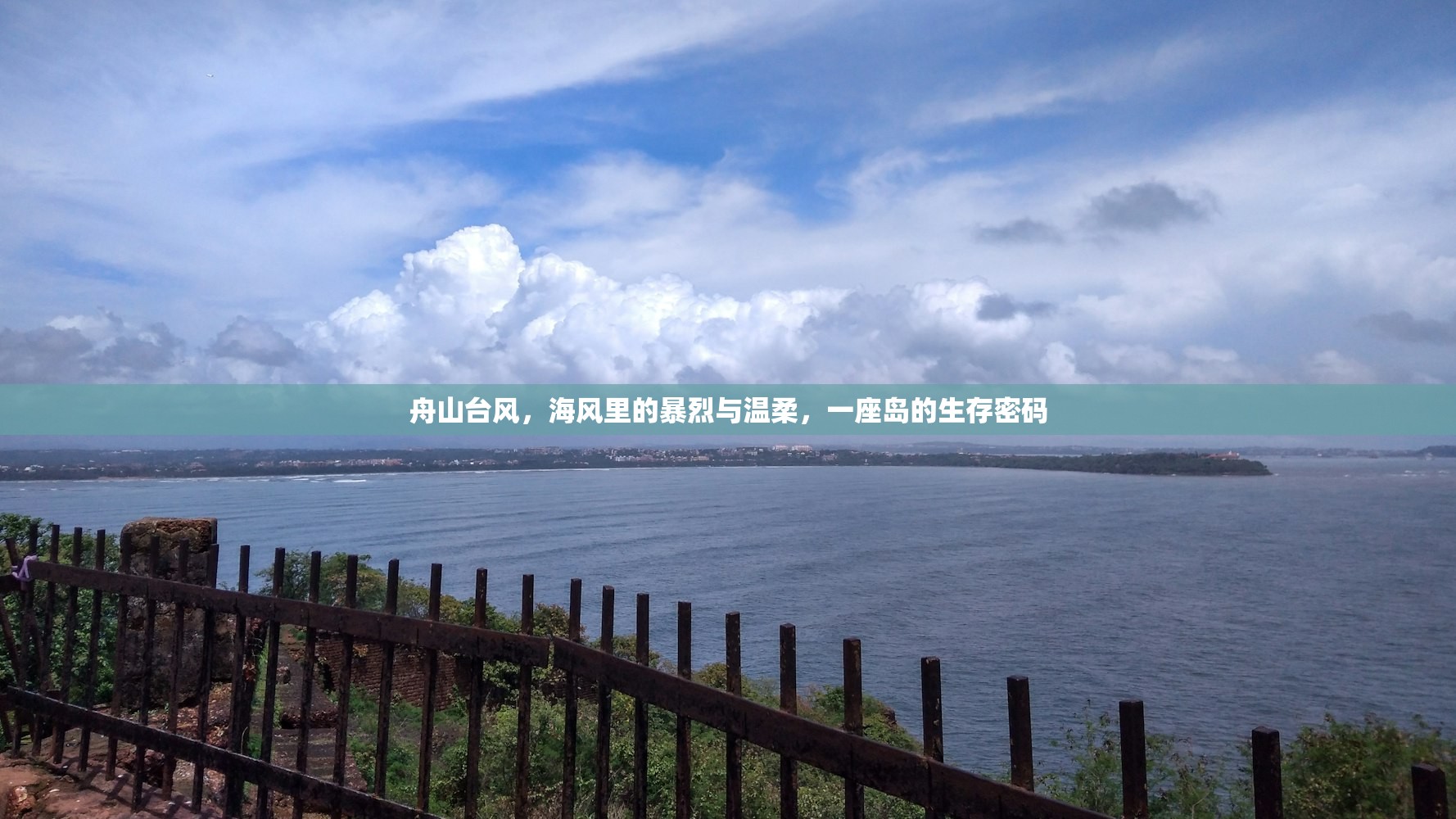 舟山台风，海风里的暴烈与温柔，一座岛的生存密码