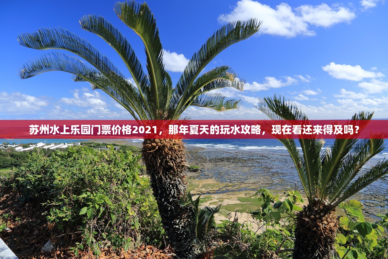 苏州水上乐园门票价格2021，那年夏天的玩水攻略，现在看还来得及吗？