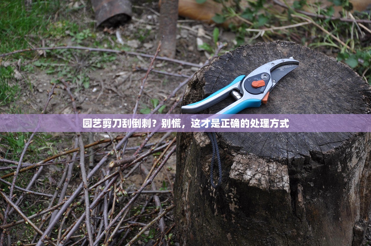 园艺剪刀刮倒刺?别慌,这才是正确的处理方式 园艺剪刀刮倒刺?别慌,这才是正确的处理方式