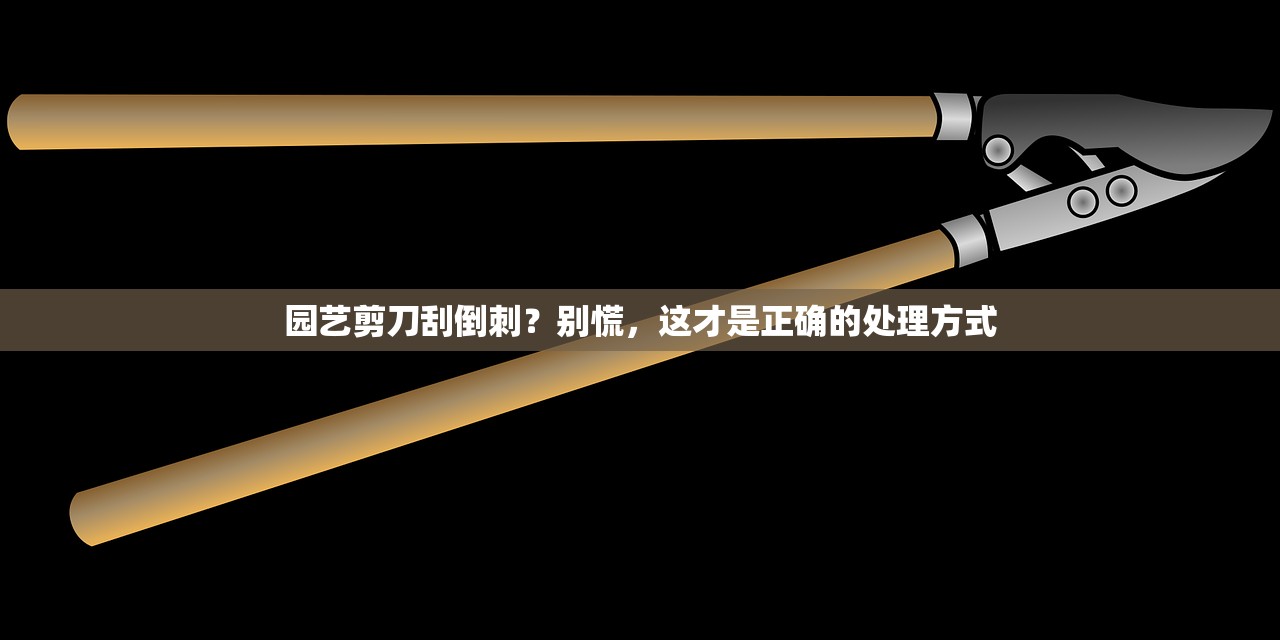 园艺剪刀刮倒刺?别慌,这才是正确的处理方式 园艺剪刀刮倒刺?别慌,这才是正确的处理方式