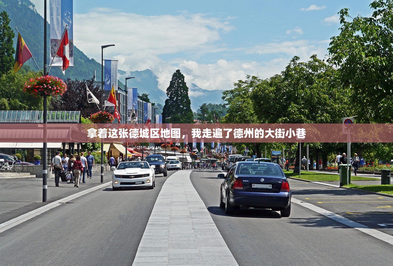 拿着这张德城区地图,我走遍了德州的大街小巷 拿着这张德城区地图,我走遍了德州的大街小巷