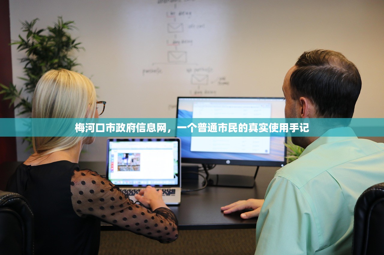 梅河口市政府信息网,一个普通市民的真实使用手记 梅河口市政府信息网,一个普通市民的真实使用手记