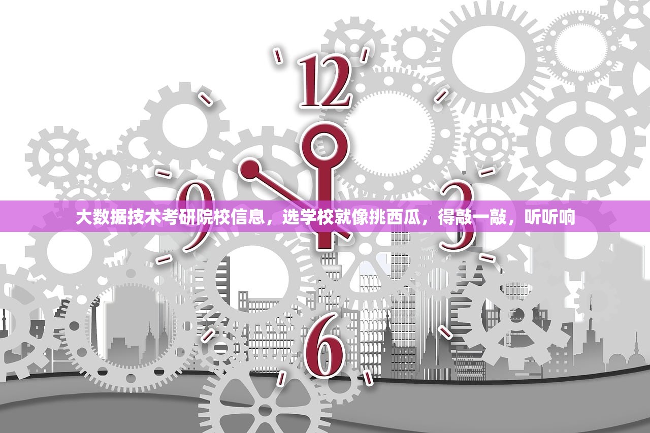 大数据技术考研院校信息,选学校就像挑西瓜,得敲一敲,听听响 大数据技术考研院校信息,选学校就像挑西瓜,得敲一敲,听听响